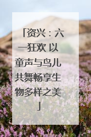 资兴：六一狂欢 以童声与鸟儿共舞畅享生物多样之美