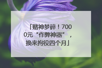 赌神梦碎！7000元“作弊神器”，换来拘役四个月