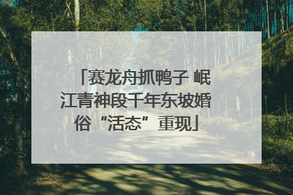 赛龙舟抓鸭子 岷江青神段千年东坡婚俗“活态”重现
