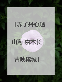 赤子丹心越山海 嘉木长青映榕城
