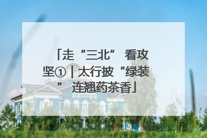 走“三北” 看攻坚①｜太行披“绿装” 连翘药茶香