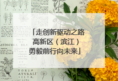 走创新驱动之路 高新区（滨江）勇毅前行向未来
