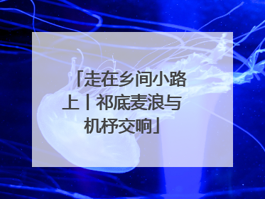 走在乡间小路上丨祁底麦浪与机杼交响