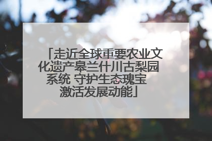 走近全球重要农业文化遗产皋兰什川古梨园系统 守护生态瑰宝 激活发展动能