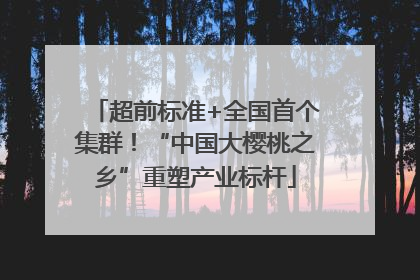 超前标准+全国首个集群！“中国大樱桃之乡”重塑产业标杆