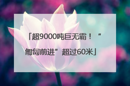 超9000吨巨无霸！“匍匐前进”超过60米