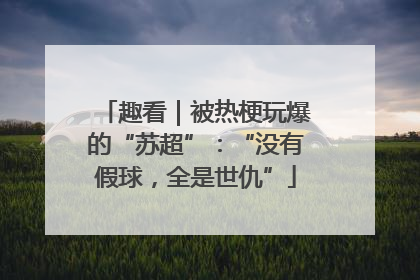 趣看｜被热梗玩爆的“苏超”：“没有假球，全是世仇”