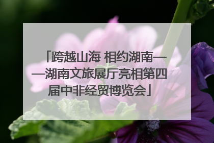 跨越山海 相约湖南——湖南文旅展厅亮相第四届中非经贸博览会