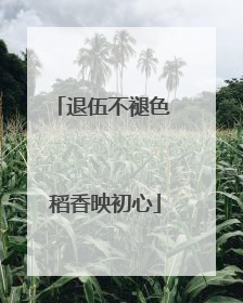 退伍不褪色 稻香映初心