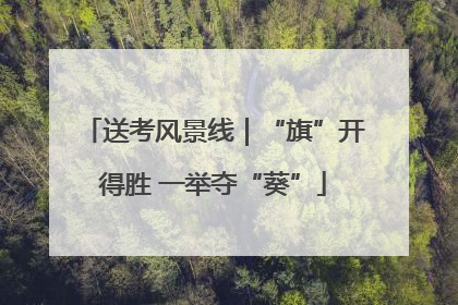 送考风景线｜“旗”开得胜 一举夺“葵”