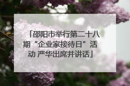 邵阳市举行第二十八期“企业家接待日”活动 严华出席并讲话