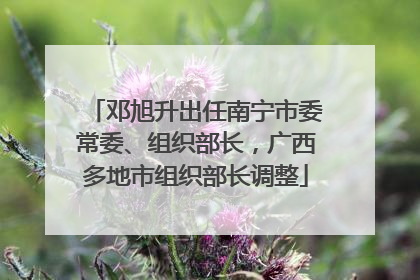 邓旭升出任南宁市委常委、组织部长，广西多地市组织部长调整