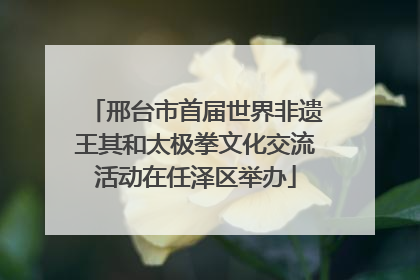 邢台市首届世界非遗王其和太极拳文化交流活动在任泽区举办