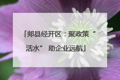 郏县经开区：聚政策“活水” 助企业远航