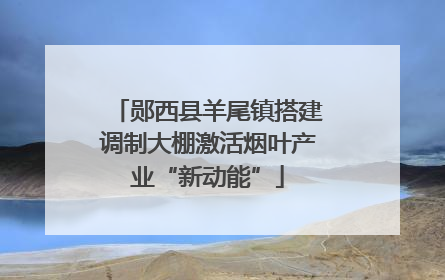 郧西县羊尾镇搭建调制大棚激活烟叶产业“新动能”