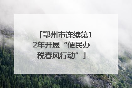 鄂州市连续第12年开展“便民办税春风行动”