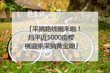 采摘路线图来啦！昌平近5000亩樱桃迎来采摘黄金期