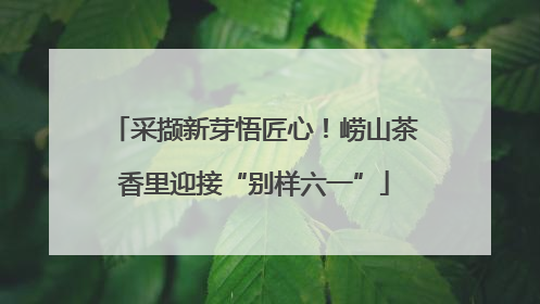 采撷新芽悟匠心！崂山茶香里迎接“别样六一”