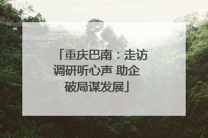 重庆巴南：走访调研听心声 助企破局谋发展