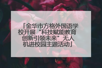 金华市方格外国语学校开展“科技赋能教育 创新引领未来”无人机进校园主题活动