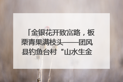 金银花开致富路，板栗青果满枝头——团风县钓鱼台村“山水生金”谱写共富新篇章