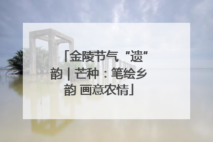 金陵节气“遗”韵｜芒种：笔绘乡韵 画意农情