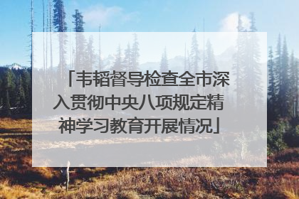韦韬督导检查全市深入贯彻中央八项规定精神学习教育开展情况