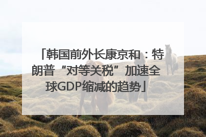 韩国前外长康京和：特朗普“对等关税”加速全球GDP缩减的趋势