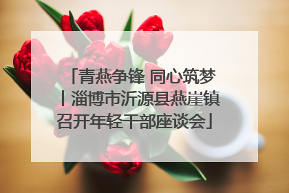 青燕争锋 同心筑梦丨淄博市沂源县燕崖镇召开年轻干部座谈会