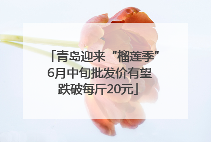 青岛迎来“榴莲季” 6月中旬批发价有望跌破每斤20元