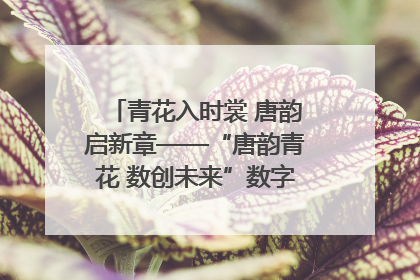 青花入时裳 唐韵启新章——“唐韵青花 数创未来”数字文创设计大赛启幕