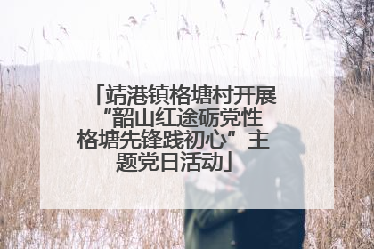 靖港镇格塘村开展“韶山红途砺党性 格塘先锋践初心”主题党日活动