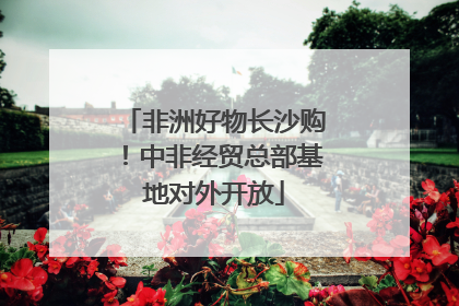 非洲好物长沙购！中非经贸总部基地对外开放