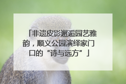 非遗皮影邂逅园艺雅韵，顺义公园演绎家门口的“诗与远方”