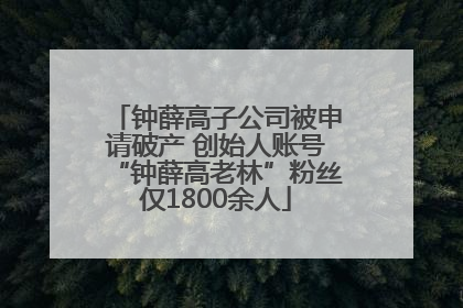 钟薛高子公司被申请破产 创始人账号“钟薛高老林”粉丝仅1800余人