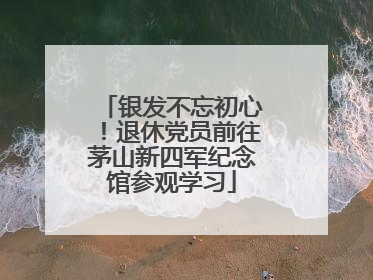 银发不忘初心！退休党员前往茅山新四军纪念馆参观学习