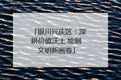 银川兴庆区：深耕价值沃土 绘制文明新画卷