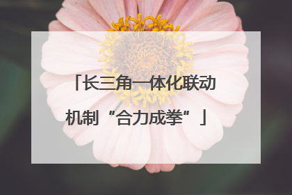 长三角一体化联动机制“合力成拳”