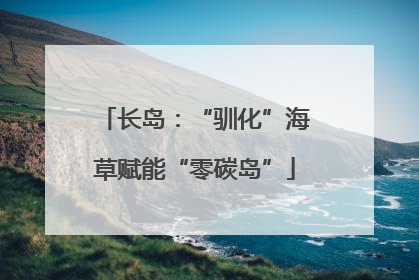 长岛：“驯化”海草赋能“零碳岛”