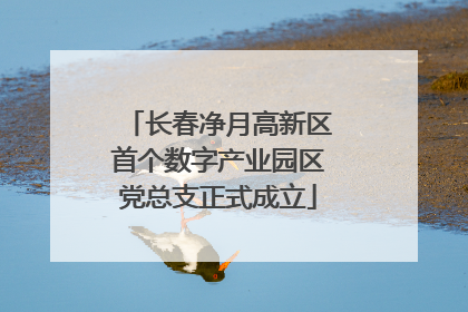 长春净月高新区首个数字产业园区党总支正式成立
