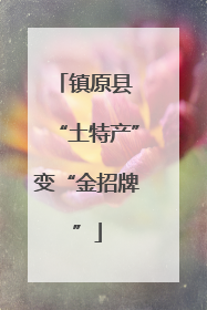 镇原县 “土特产”变“金招牌”