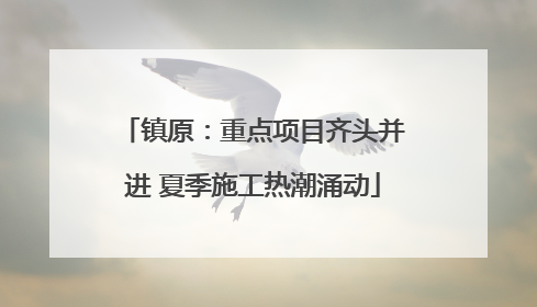 镇原：重点项目齐头并进 夏季施工热潮涌动