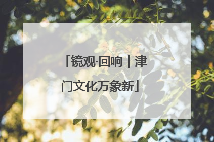 镜观·回响｜津门文化万象新