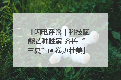 闪电评论｜科技赋能芒种胜景 齐鲁“三夏”画卷更壮美