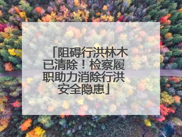 阻碍行洪林木已清除！检察履职助力消除行洪安全隐患