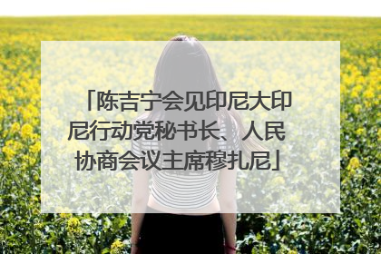 陈吉宁会见印尼大印尼行动党秘书长、人民协商会议主席穆扎尼
