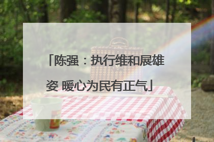 陈强：执行维和展雄姿 暖心为民有正气