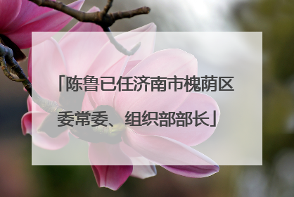 陈鲁已任济南市槐荫区委常委、组织部部长