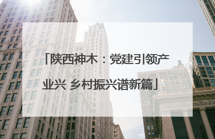陕西神木：党建引领产业兴 乡村振兴谱新篇