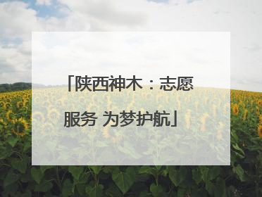 陕西神木：志愿服务 为梦护航